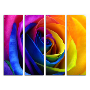 Модульная картина Радужная роза