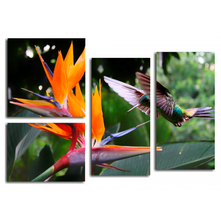 Модульная картина Экзотический цветок и птаха