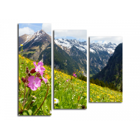 Модульная картина Austrian Alps, цветы