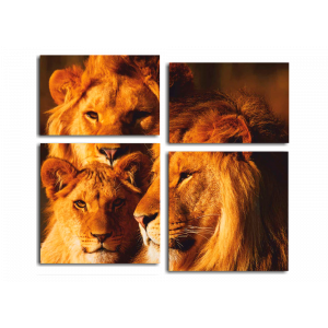 Модульная картина Семья львов