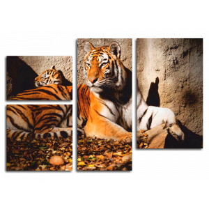 Модульная картина Семья тигров