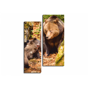 Модульная картина Медведица и медвежата