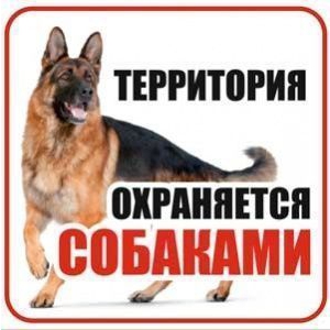 Табличка Территория охраняется собаками